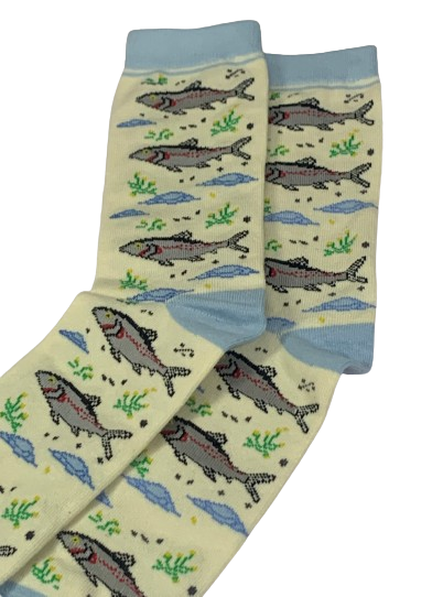 Ilish Socks